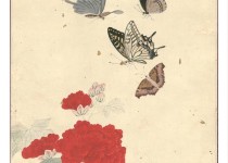 나비를 정말 잘 그렸던 조선시대의 화가.jpg