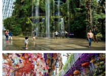 싱가폴을 유잼 도시로 만들었다는 공원