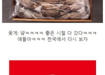 꽃게에 대한 한국인의 광기.jpg