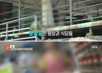 여전한 계곡 불법행위