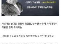 자본주의 체제의 노동자가 받는 임금