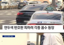 연두색 번호판 시행 그 후