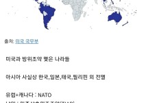 미국이 지켜주는 국가들