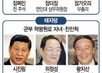 시진핑이 중국을 퇴보시킨 과정