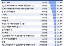 한국 투자자가 올해 순매수한 미국 주식 중 손실률 큰 종목.jpg